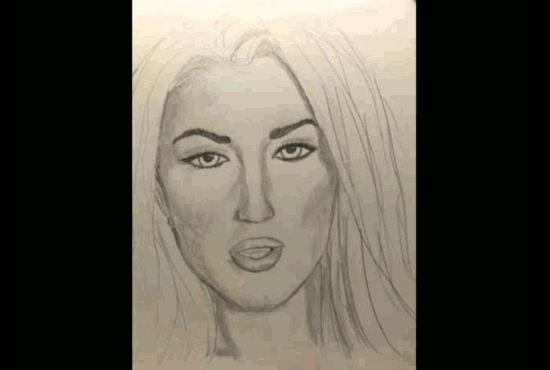 sketches